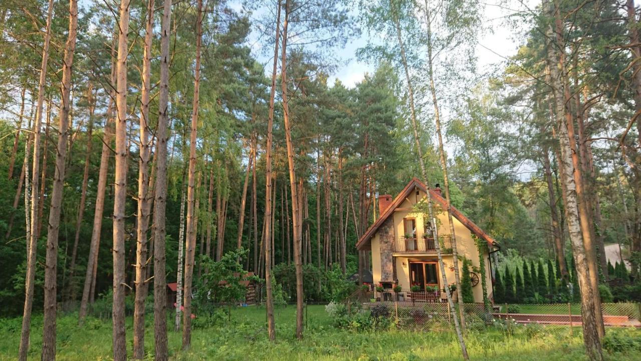 Dom na skraju lasu Villa Wilkasy Eksteriør bilde